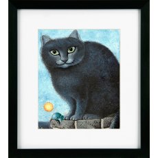 Seely Cat VI Picture