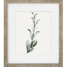 Soft Botanicals I Picture