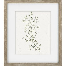 Soft Botanicals III Picture