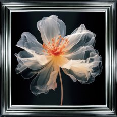 Pink Translucent I Picture Pink Translucent I Picture