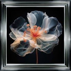 Pink Translucent II Picture Pink Translucent II Picture