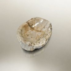 Petrified Wood Lipped Bowl Petrified Wood Lipped Bowl