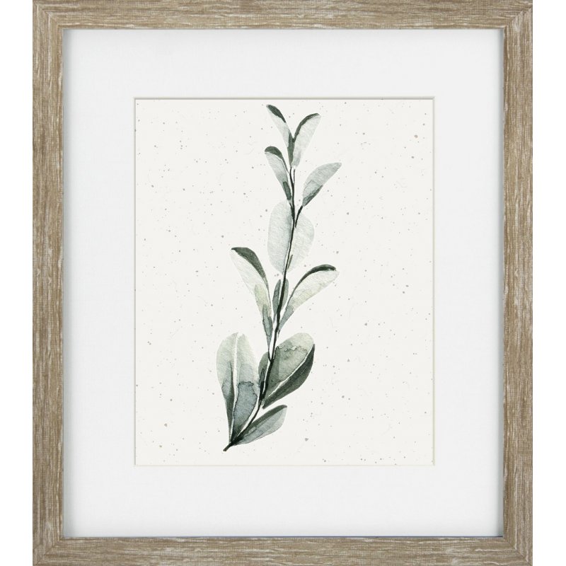 Camelot Soft Botanicals I Picture