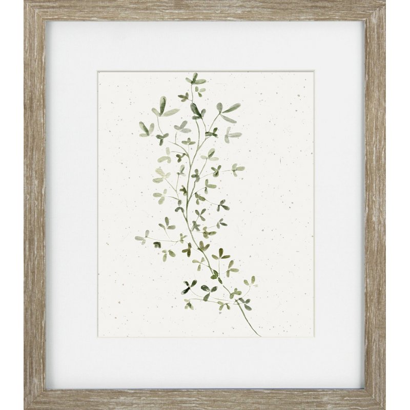 Camelot Soft Botanicals III Picture