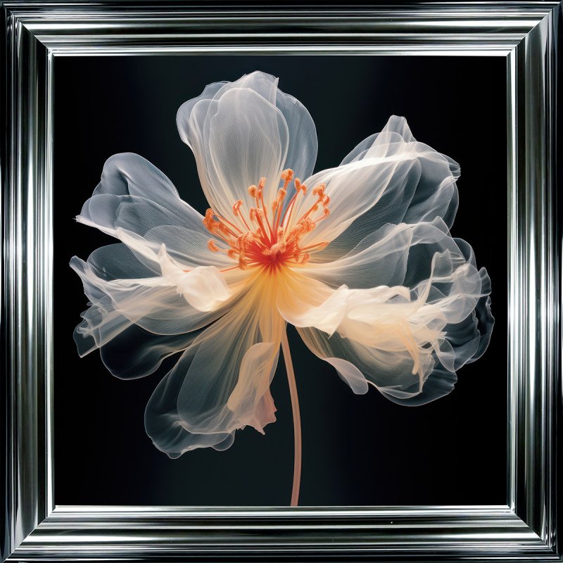 Camelot Pink Translucent I Picture