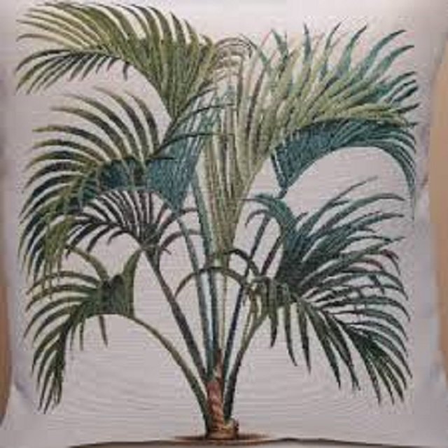 Hines Exotic Palm 17