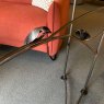 Belltrees Bird Console Table