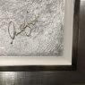 Zenith Velveteen Moonscape Picture